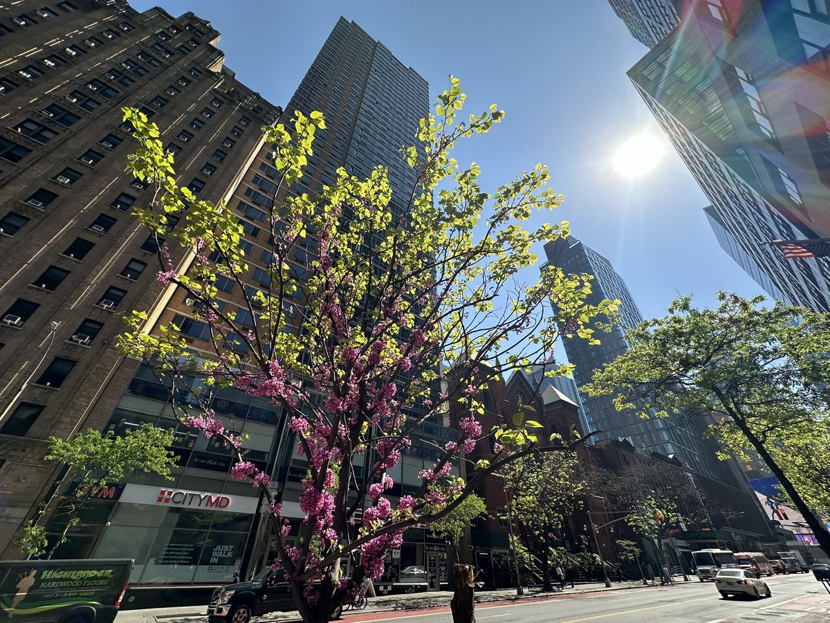 It’s a beautiful day in the neighborhood! #hellskitchen #W42ST