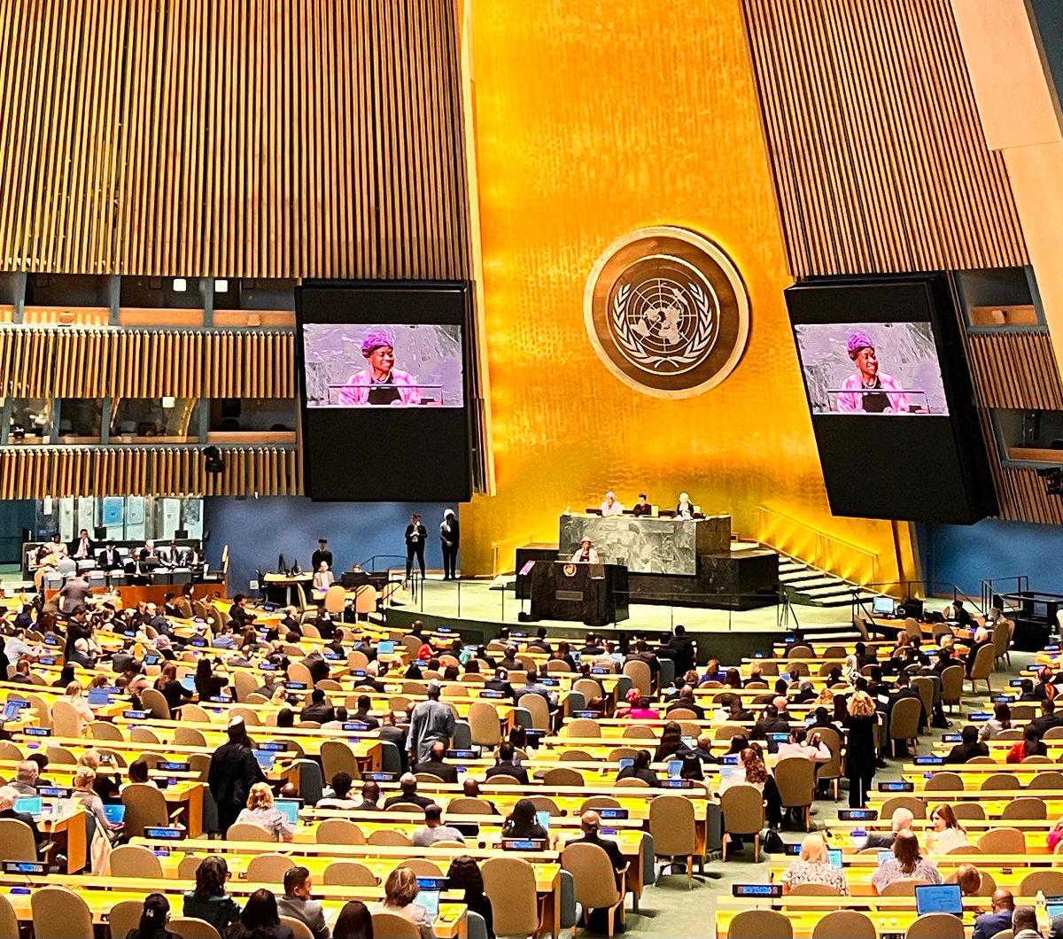 'We cannot sit still. When we invest in women and girls, everyone gains.' -@UNFPA Executive Director Dr. Natalia Kanem just now at the opening of #CPD57 on #ICPD30 in New York.