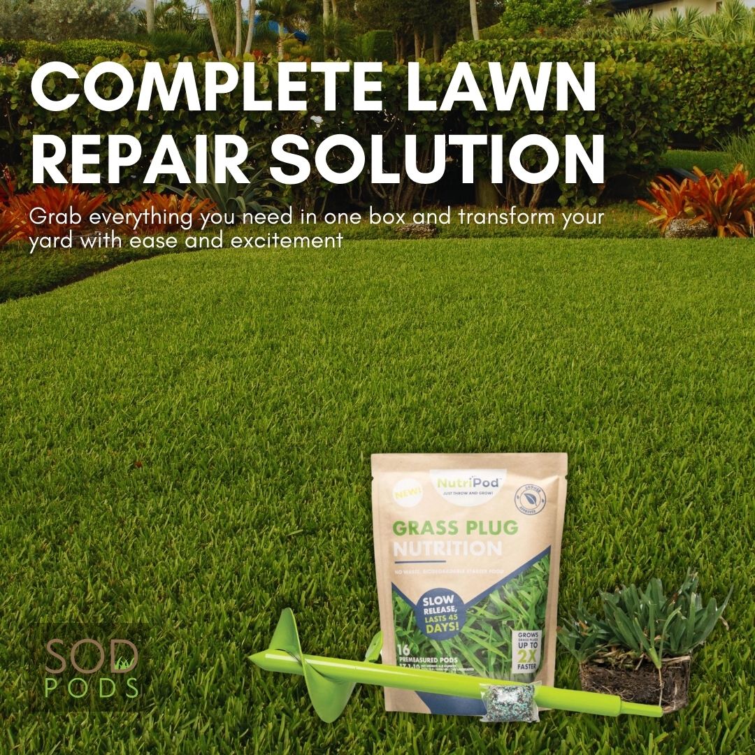 Let's get your beautiful yard back with our Complete Lawn Repair Solution! 🌿

This bundle includes YOUR choice of SodPods®, NutriPod® grass plug fertilizer, & the Power Planter auger!

Find out more at trysodpods.com

#sodpods #lawncare #lawn #lawnmaintenance #grass