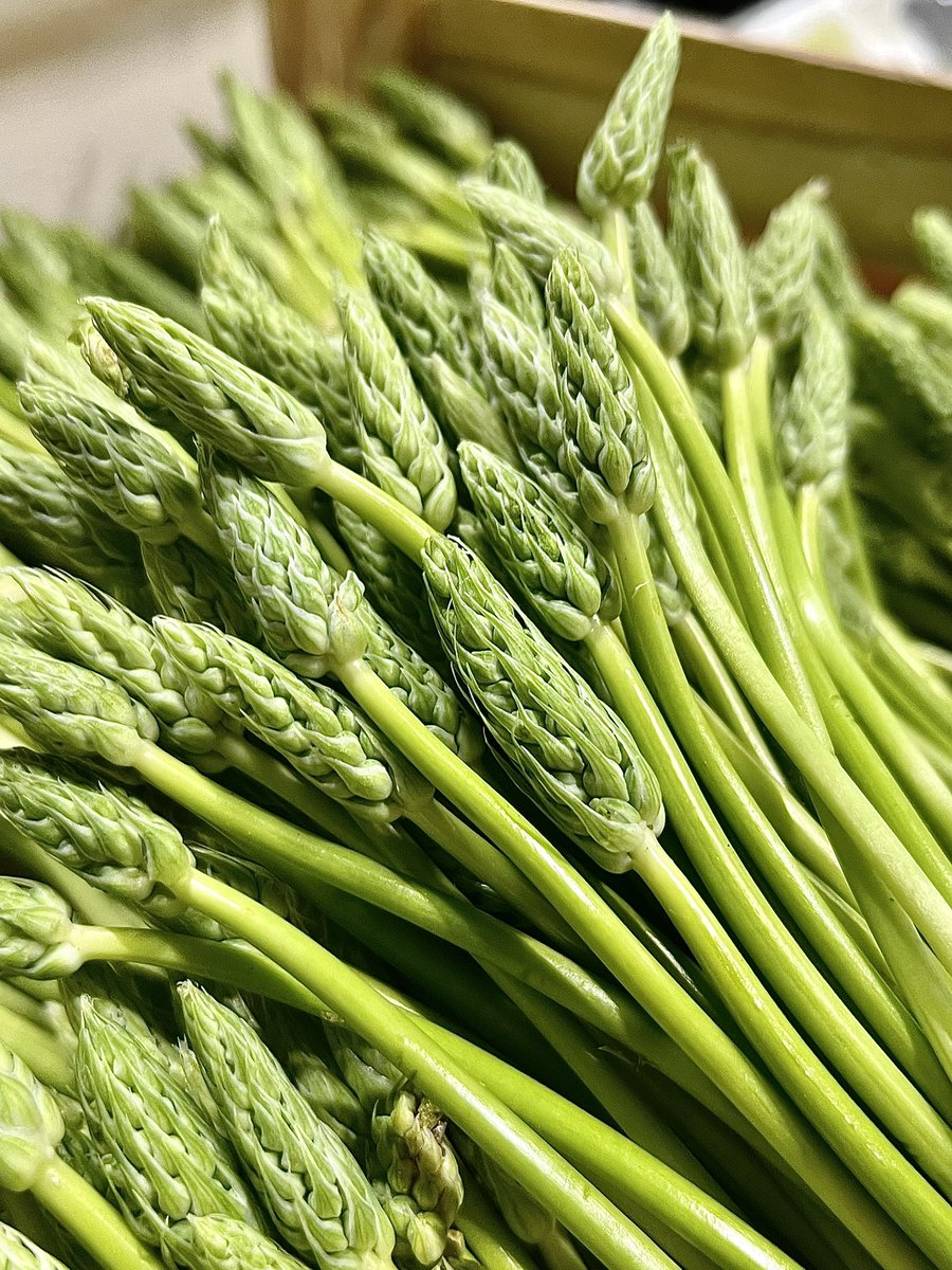 The first bunches of French Wild Asparagus have arrived... Harvested by hand this seasonal favourite is stunning on the plate with its delicate tender spears offering a delicious earthy, nutty flavour. Available to order here > bit.ly/3WjLmYd
