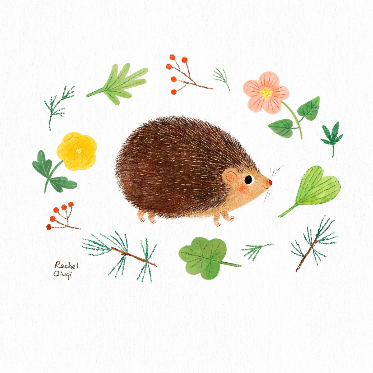 Little hedgehog 🦔 

#kidlitart