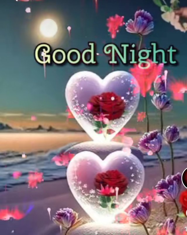 Assalamualaikum 🌸🌸 Good night 🌃🌃