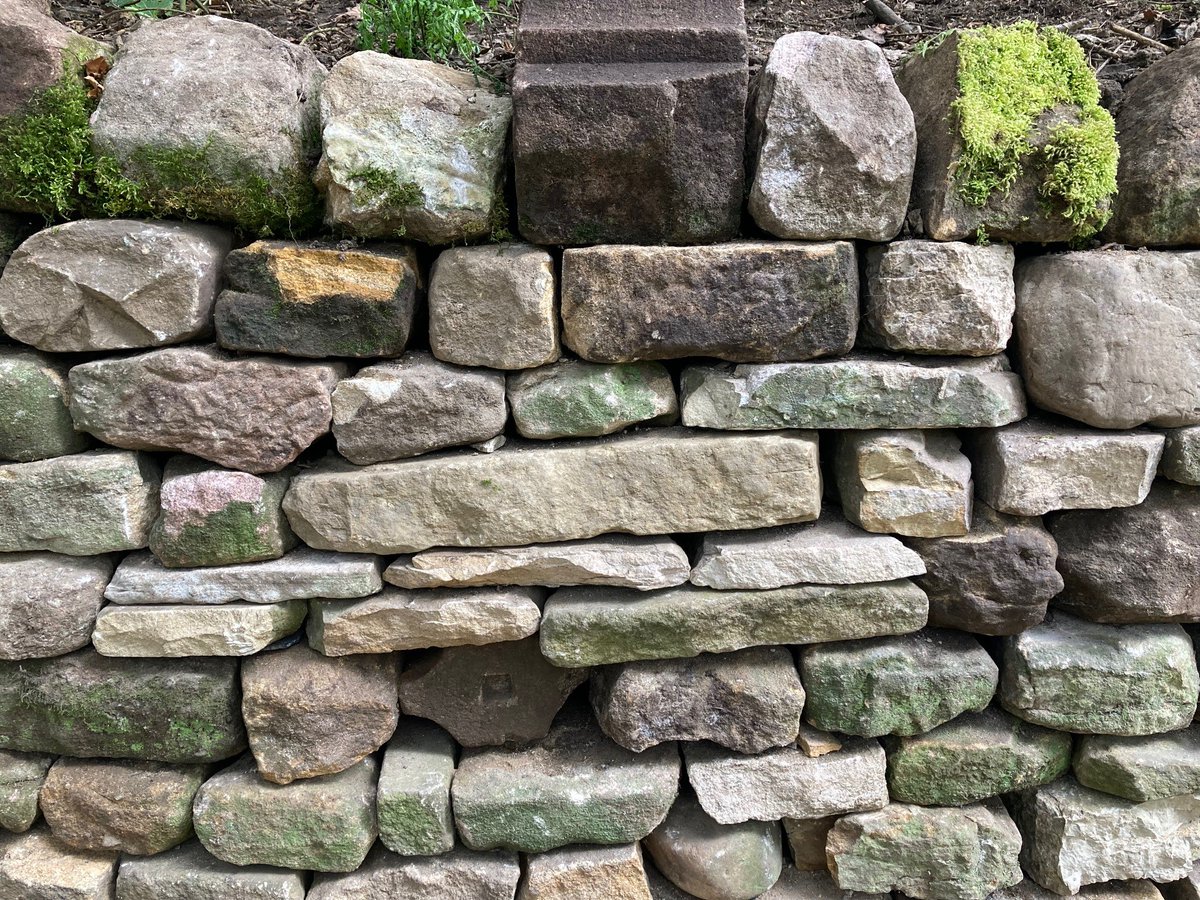 With all the rain we’ve had, there have been a few walls tumbling down. This wall is on De Grey’s Walk, it collapsed due to pressure from the movement of soil & water run off behind the wall. The work to strip & rebuild the wall was all done by hand by our stonemasons onsite.