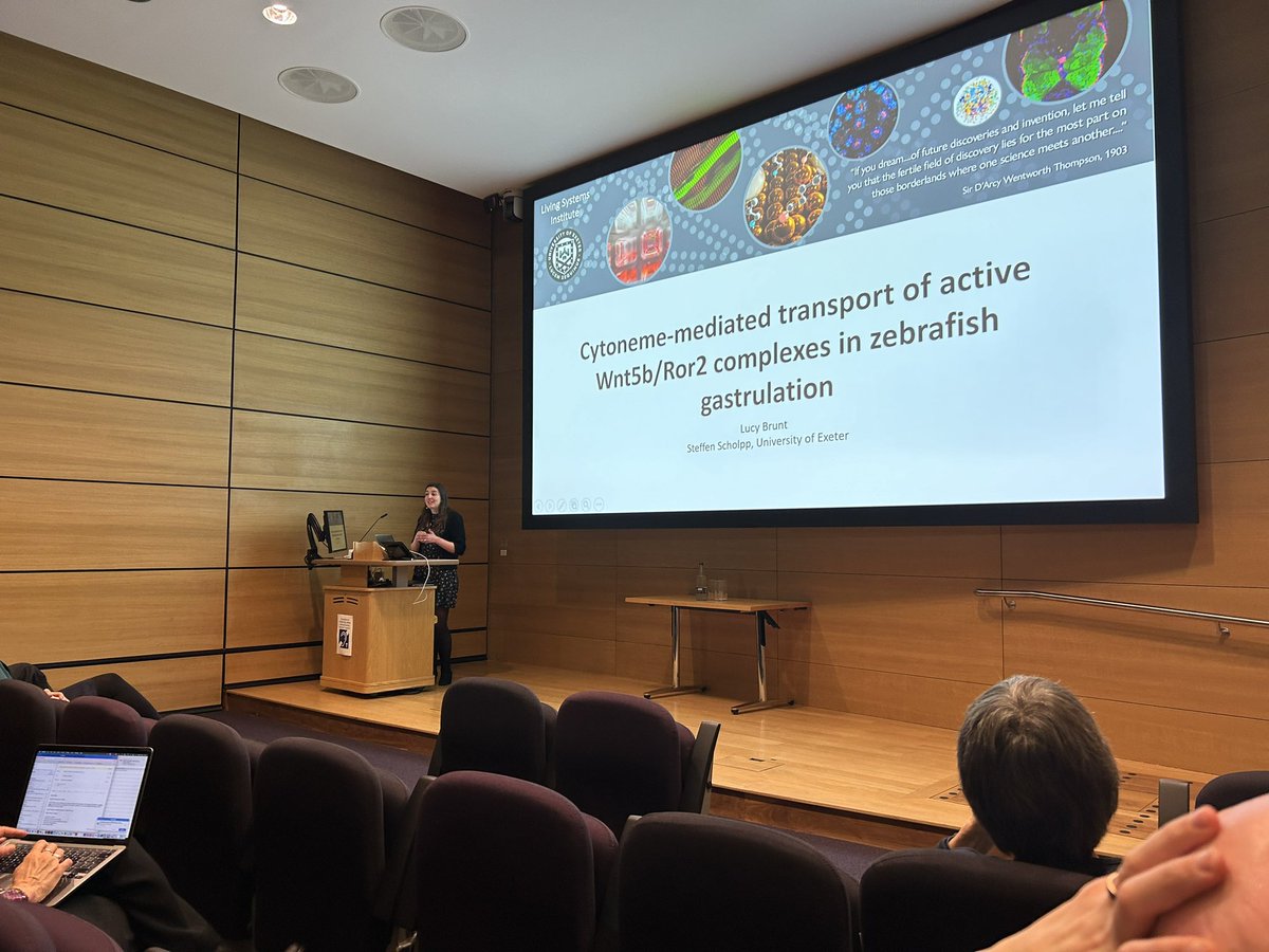 Next up is Dr Lucy Brunt from @scholpp_lab at @LSI_Exeter @UniofExeter speaking about cytoneme-mediated transport of Wnt complexes.

#WntUK2024