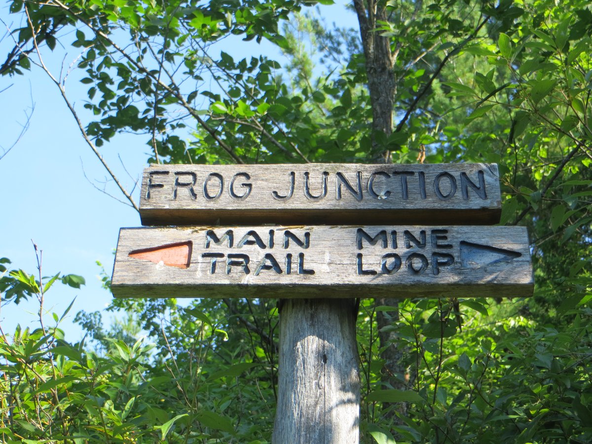 Comprised of 589 hectares of dense, dynamic and varied wilderness located in the Canadian Shield, Gould Lake Conservation Area features the head waters of the Millhaven Creek System. ow.ly/5vSh50GvPRu