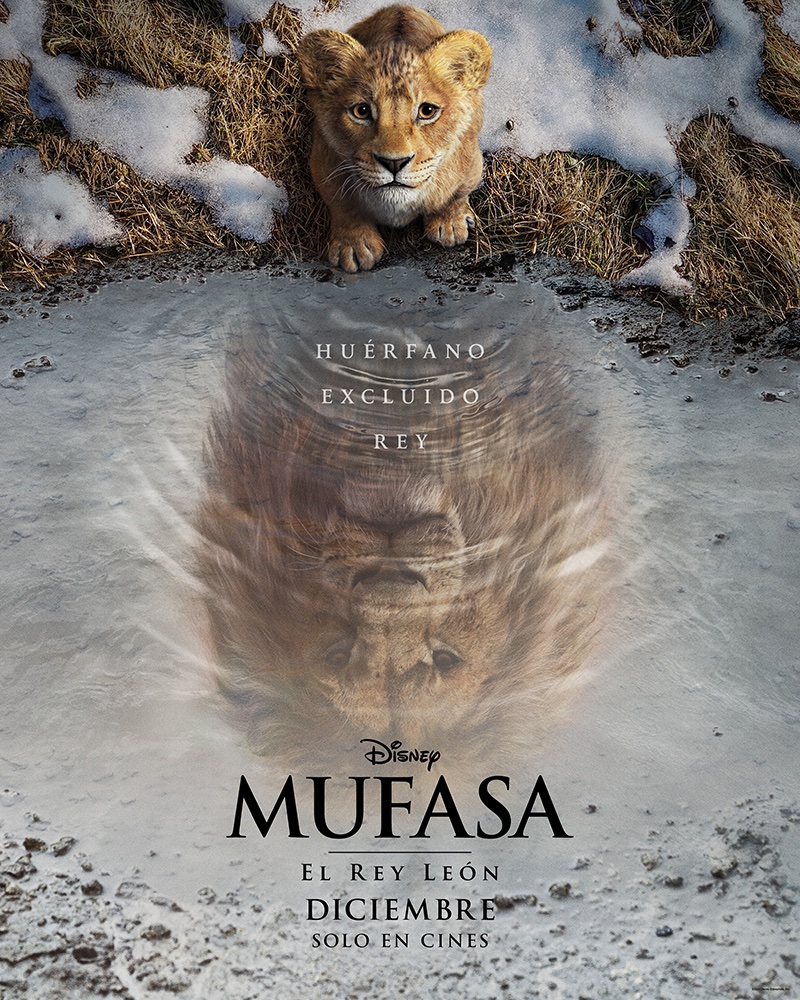 Huérfano, excluido, rey. #Mufasa: El Rey León, estreno en diciembre, solo en cines.