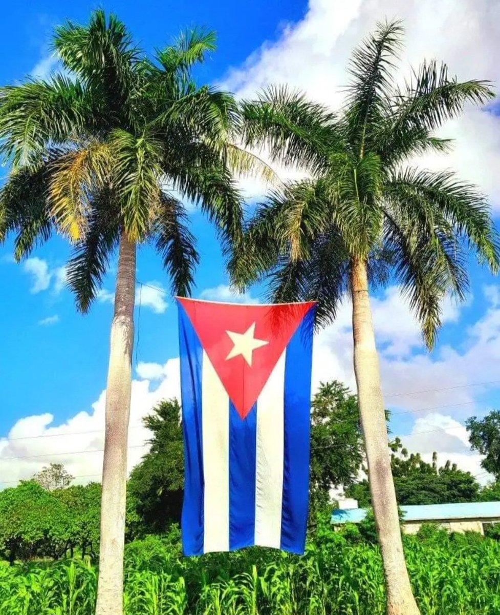 La bandera de #Cuba está cubierta con la grandeza de los hombres y mujeres que hicieron la Revolución.