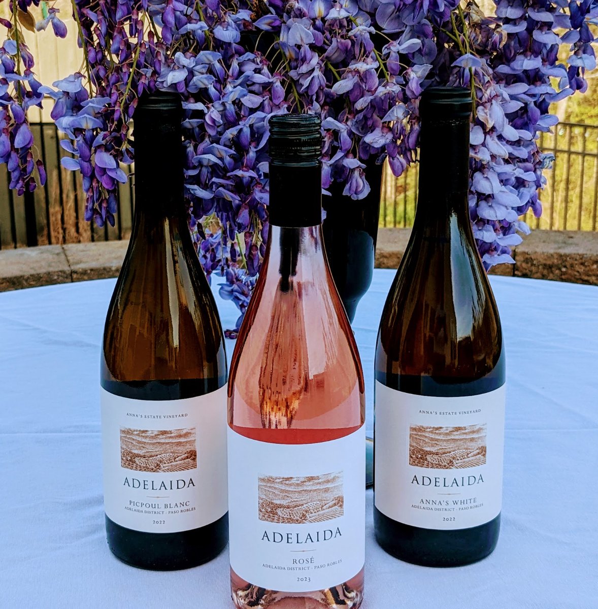 Uncork our new post as we sip, savor, and swirl through Adelaida Vineyards' spring releases of Rhone-style wines from Paso Robles! 🍷✨ vino-sphere.com/2024/04/adelai… #winelovers #AdelaidaVineyards #PasoRobles @IFWTWA @LadySadie66