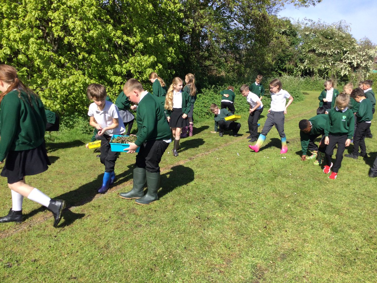 FairfieldAcad's tweet image. Y4 have started their Beetle Boy unit by creating biodegradable beetle hotels!