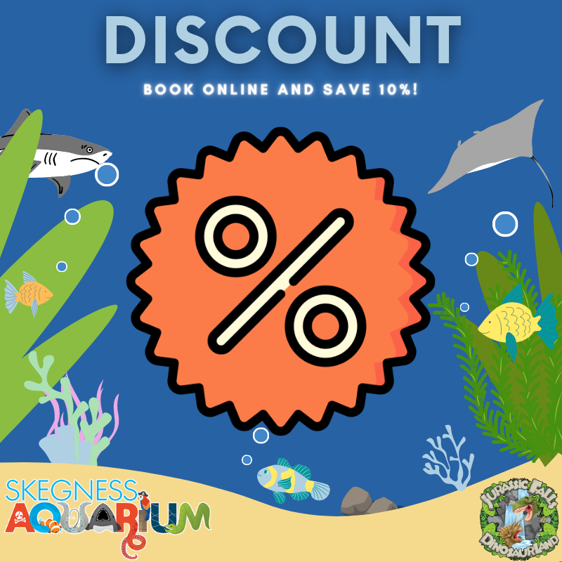 Make sure to use code 'online10' to get 10% off when booking online! 📱

Head to skegness-aquarium.uk to book now