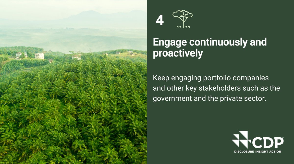 📢New Report Investors in the palm oil supply chain need to understand the risks they are exposed to and engage their portfolio to disclose and manage those risks. See our 4 key recommendations and find out more: ow.ly/ehmk50RlgO7