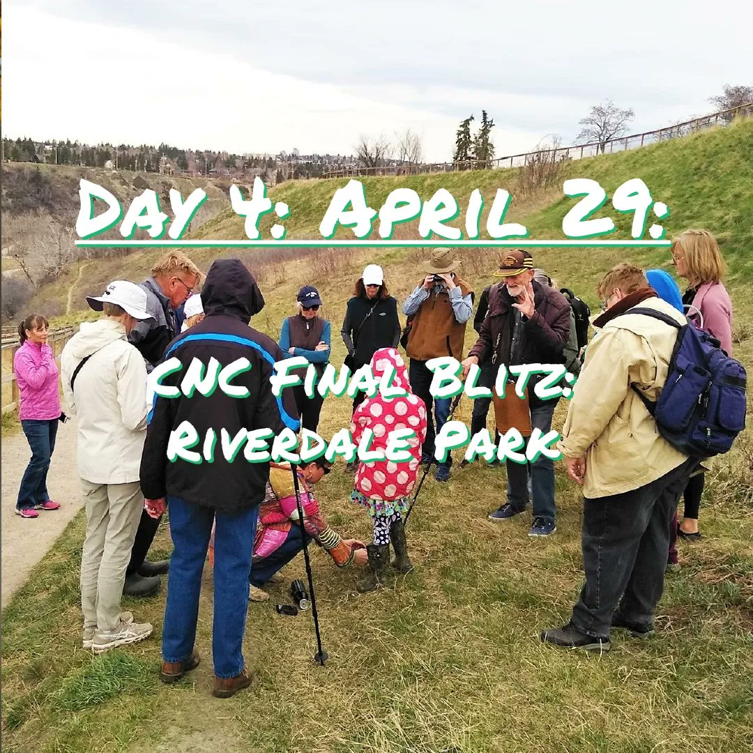 #CityNatureChallenge Day 4! The final day to make your observations. Get outside at your lunch, walk to school/work, and get them while you can! Deadline to post is midnight May 5! Good luck everyone!