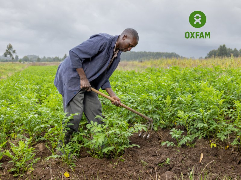 'Potato is one of the most sought-after food crop in Kenya. Seed demand is @ 400,000 tonnes against the country's 5% supply.' Utopian. We are proud to be part of a solution by Utopian Ltd through our ISME Business Support prog with @OCA_Africa watch👉youtu.be/OqqaTcAqDAs