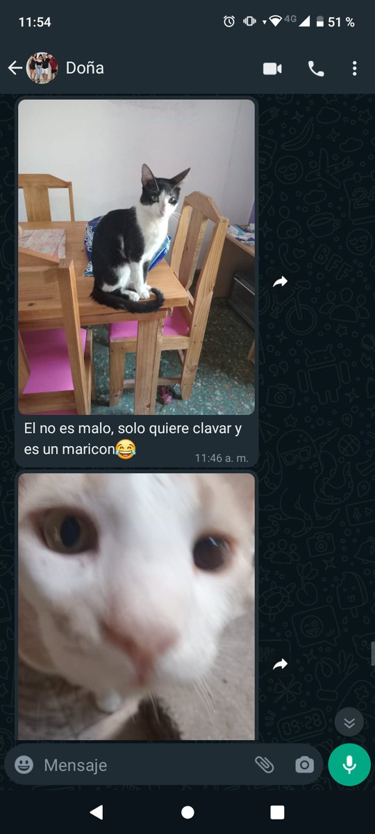IvanaTurcoFilho's tweet photo. Me hicieron esta propuesta de trabajo, espero no arrepentirme https://t.co/1kEM1B2pv3