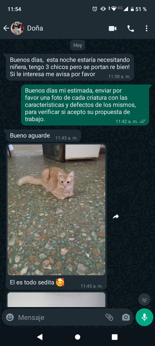 IvanaTurcoFilho's tweet photo. Me hicieron esta propuesta de trabajo, espero no arrepentirme https://t.co/1kEM1B2pv3
