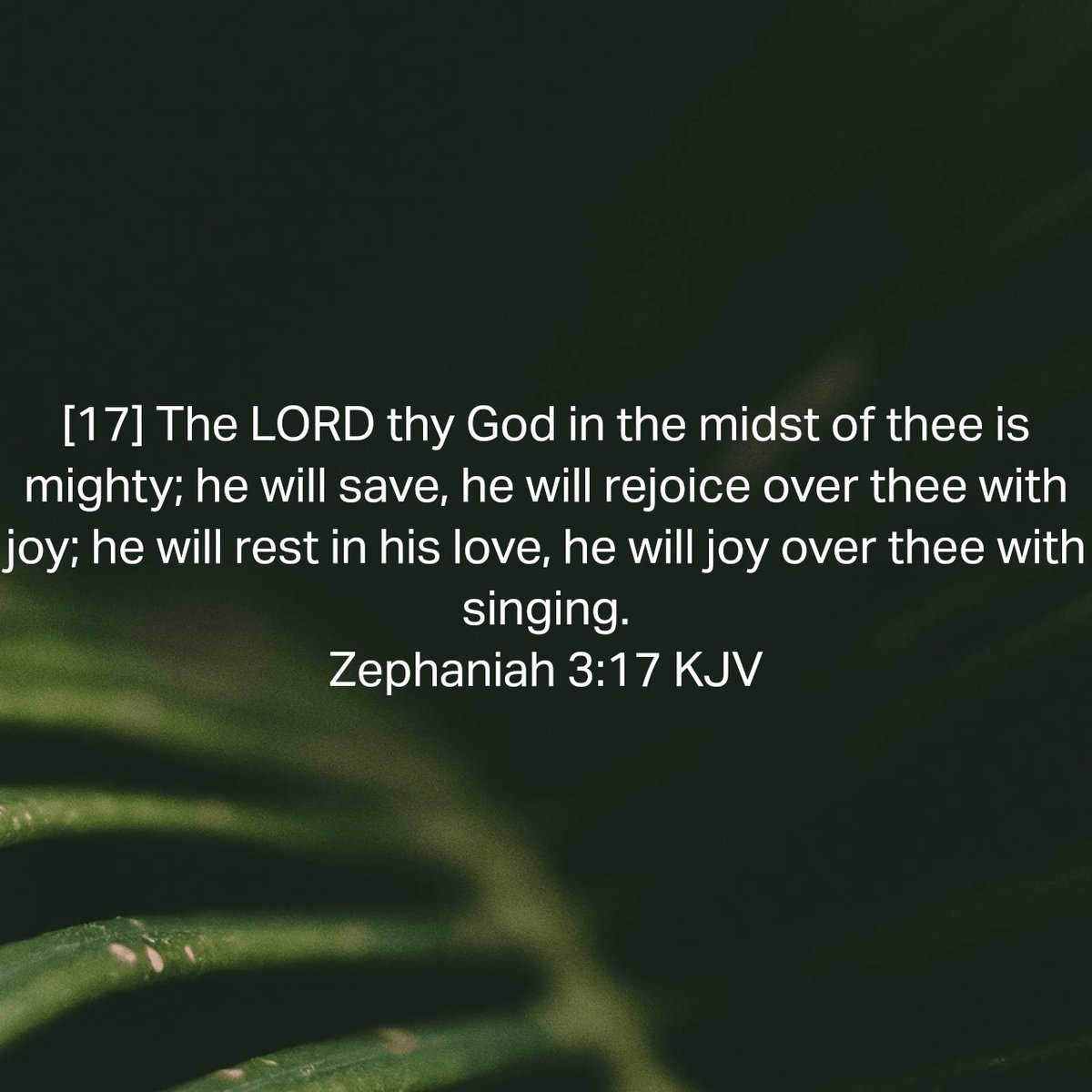 Zephaniah 3:17 KJV
[17] The LORD thy God in the midst of thee is mighty; he will save, he will rejoice over thee with joy; he will rest in his love, he will joy over thee with singing. 

bible.com/bible/1/zep.3.…
