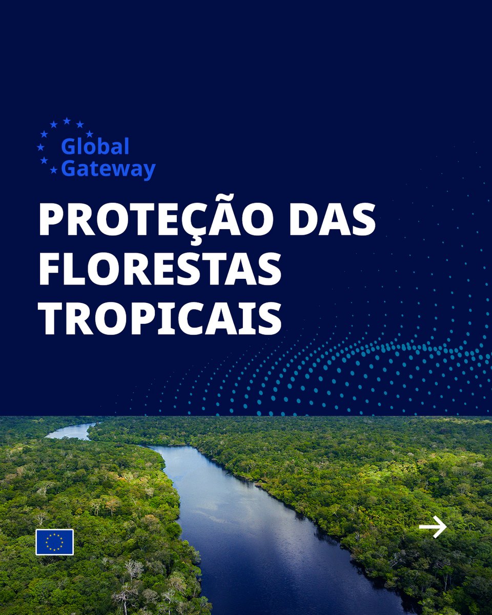 A iniciativa para as Florestas Tropicais é uma das ações Equipe Europa que buscam promover a bioeconomia e a rastreabilidade das cadeias de abastecimento na Amazônia brasileira. +
