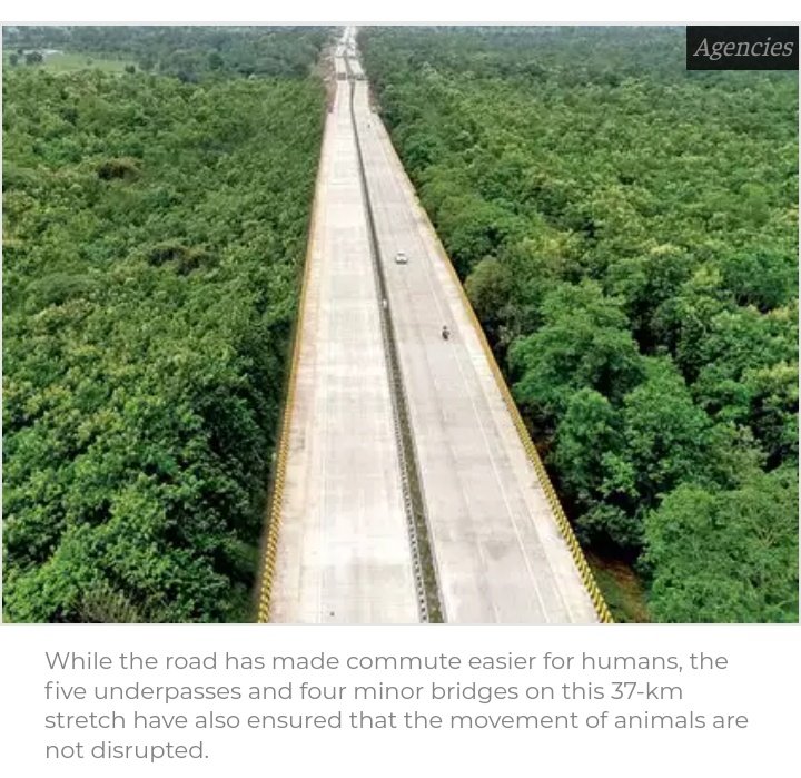 @creepydotorg It seems to be a win-win situation for humans and animals. Both have welcomed new elevated stretches of highways on the Seoni (Madhya Pradesh)-Nagpur (Maharashtra) sector of the national highway 44 passing through the Pench Tiger Reserve.