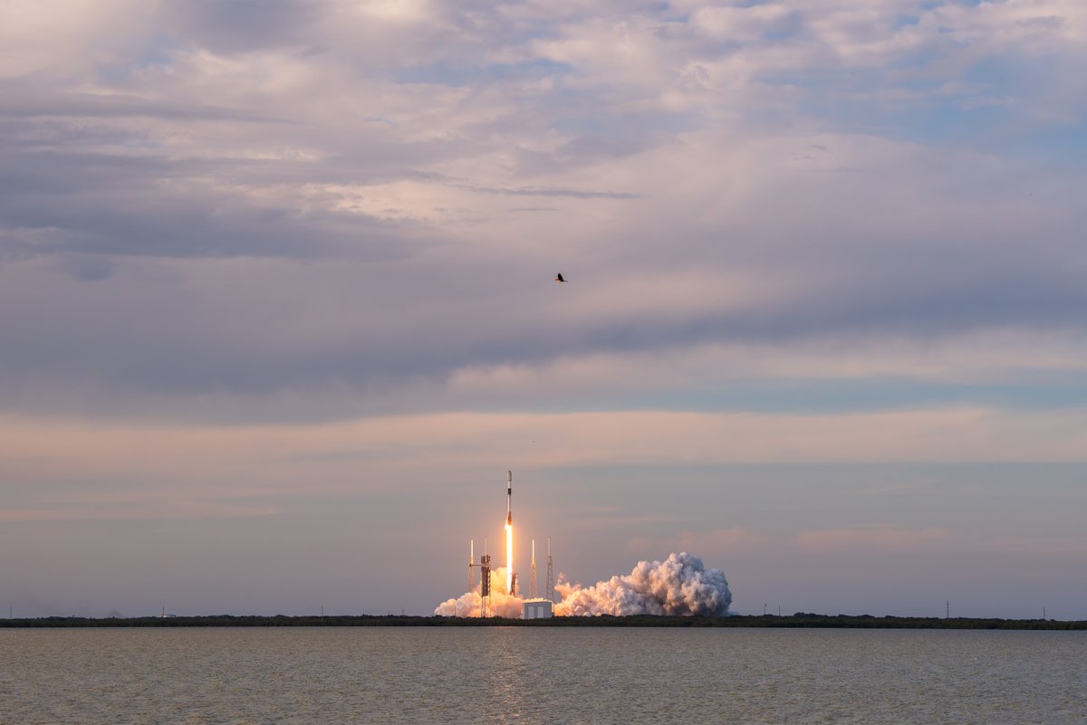 🎶 We're soarin', flyin' 🎶 We stay busy with launches here on the space coast! Enjoy some photos of last week's launches 😍 @SpaceForceDoD | @USSF_SSC #SpaceLaunch #SemperSupra