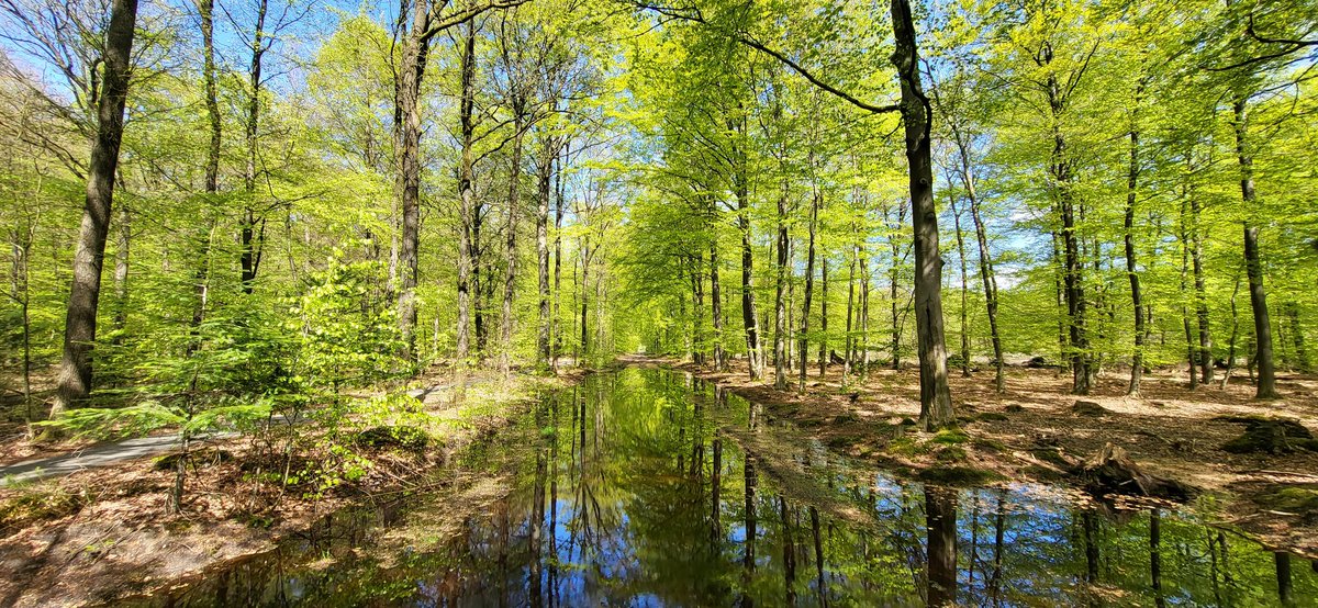 Tjeerd Langhout tweet media