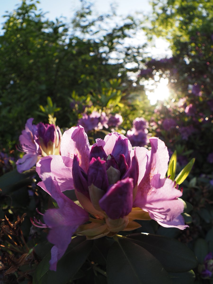 Markus Triska (@markustriska) on Twitter photo 