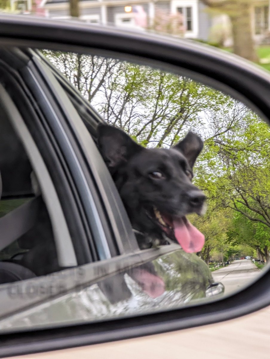 Objects in mirror are closer than they appear.