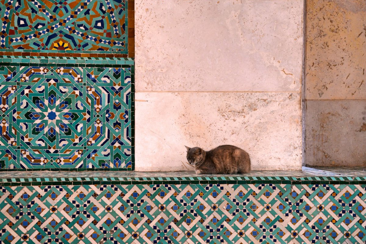 Morocco, 2015.
📷: Nicholas Johnson