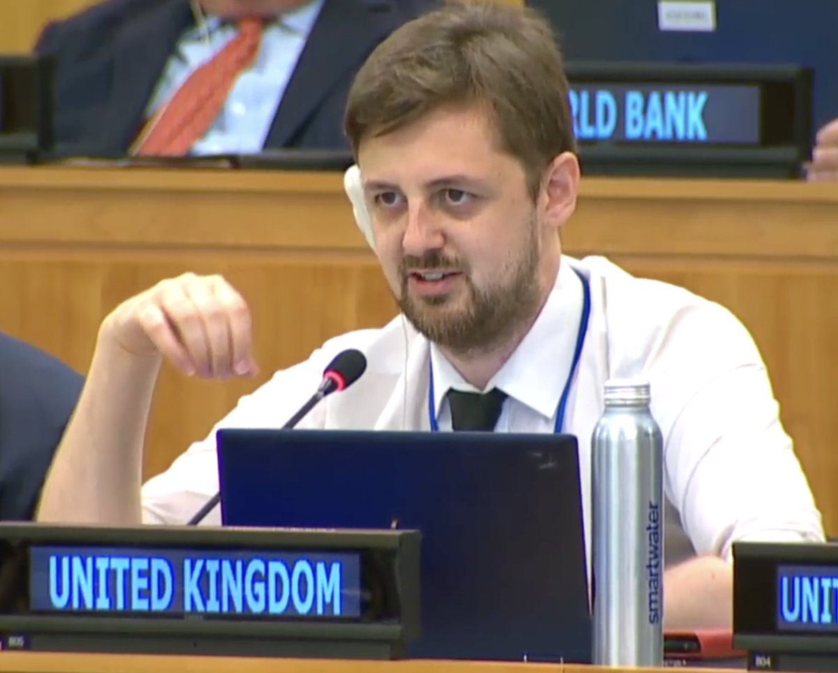 The UK intervenes first. It suggests the inclusion of 3 principles: 1) Maximising participation and coverage - in terms of country views 2) Comparative advantage - prioritise issues not adressed elsewhere 3) Subsidiarity - things that can be decided nationally should be decided…