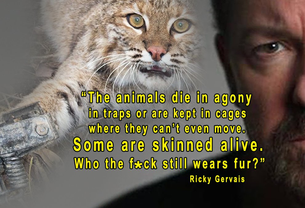 Wearing fur is a profoundly sociopathic act🤬

So is voting Tory🤔

Both result in suffering & death💔

Vote StopTheTories.vote✔️

#GeneralElectionN0W

Be #Vegan🐾💞

@RickyGervais @PeterEgan6 @ChrisGPackham @carolvorders @ProtectWldlife @AnimalAid @RobRobbEdwards @domdyer70