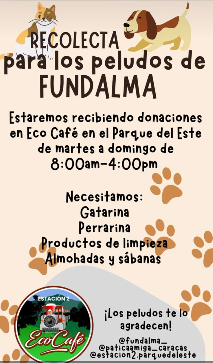 Fundación Alma (@fundalma_) on Twitter photo 