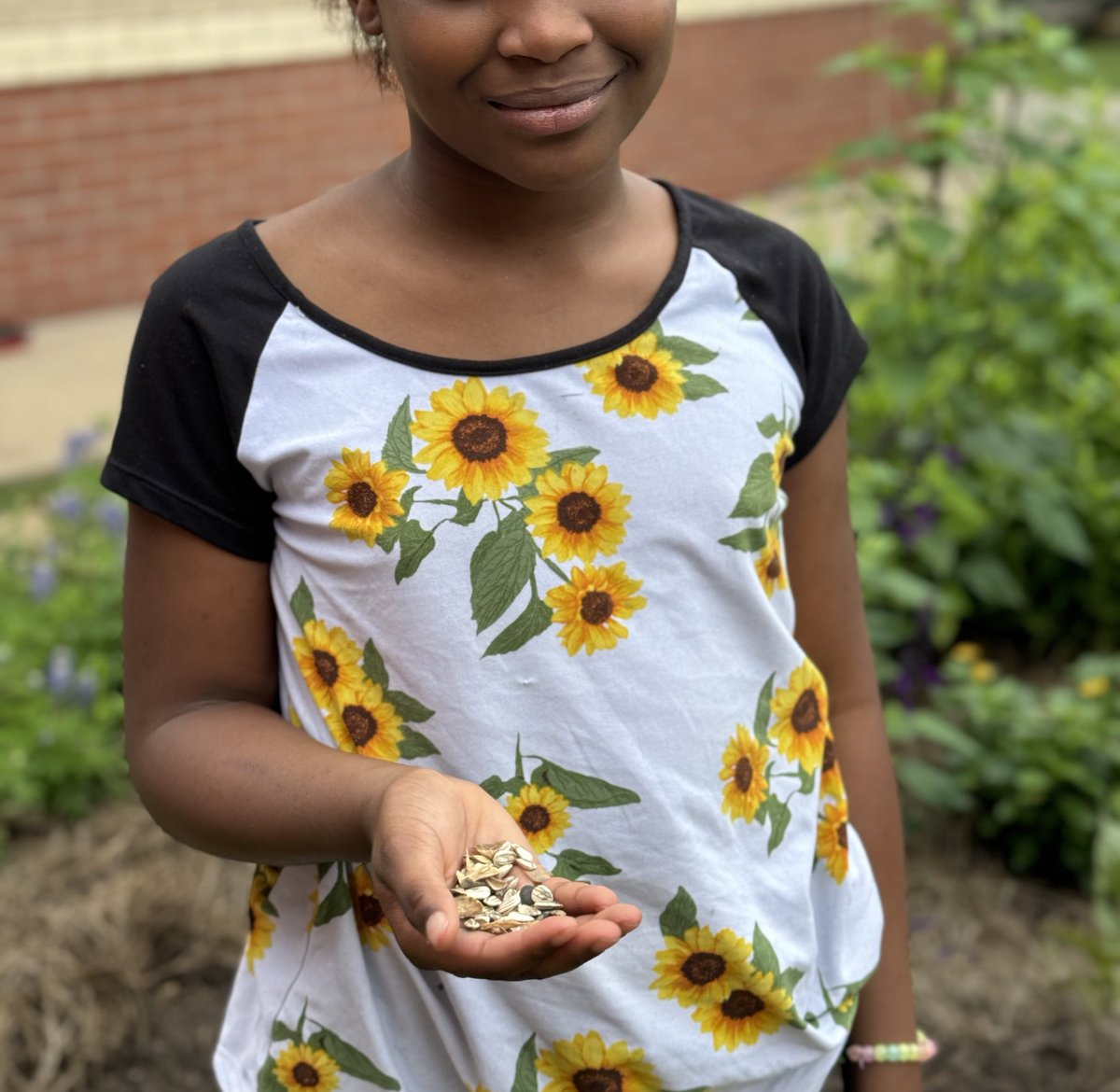 It’s time to get these sunflower seeds in the ground 🌻🌻🌻 @mcfeecfisd @sharonwhit1 @readygrowgarden @CyFairISD #gardenday #schoolgarden #texasgardening