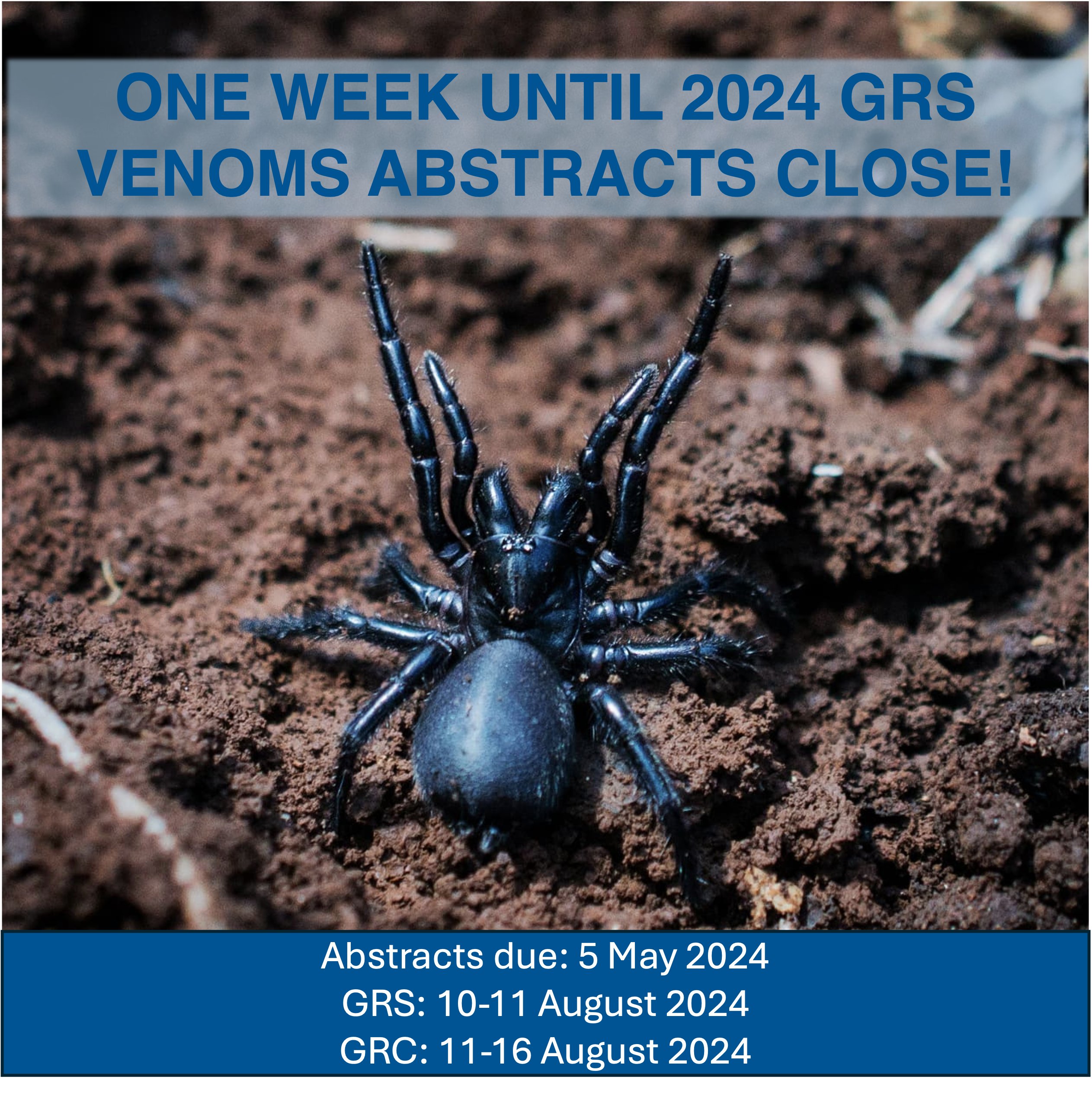 How many weeks until august 29 2025 gabriel west