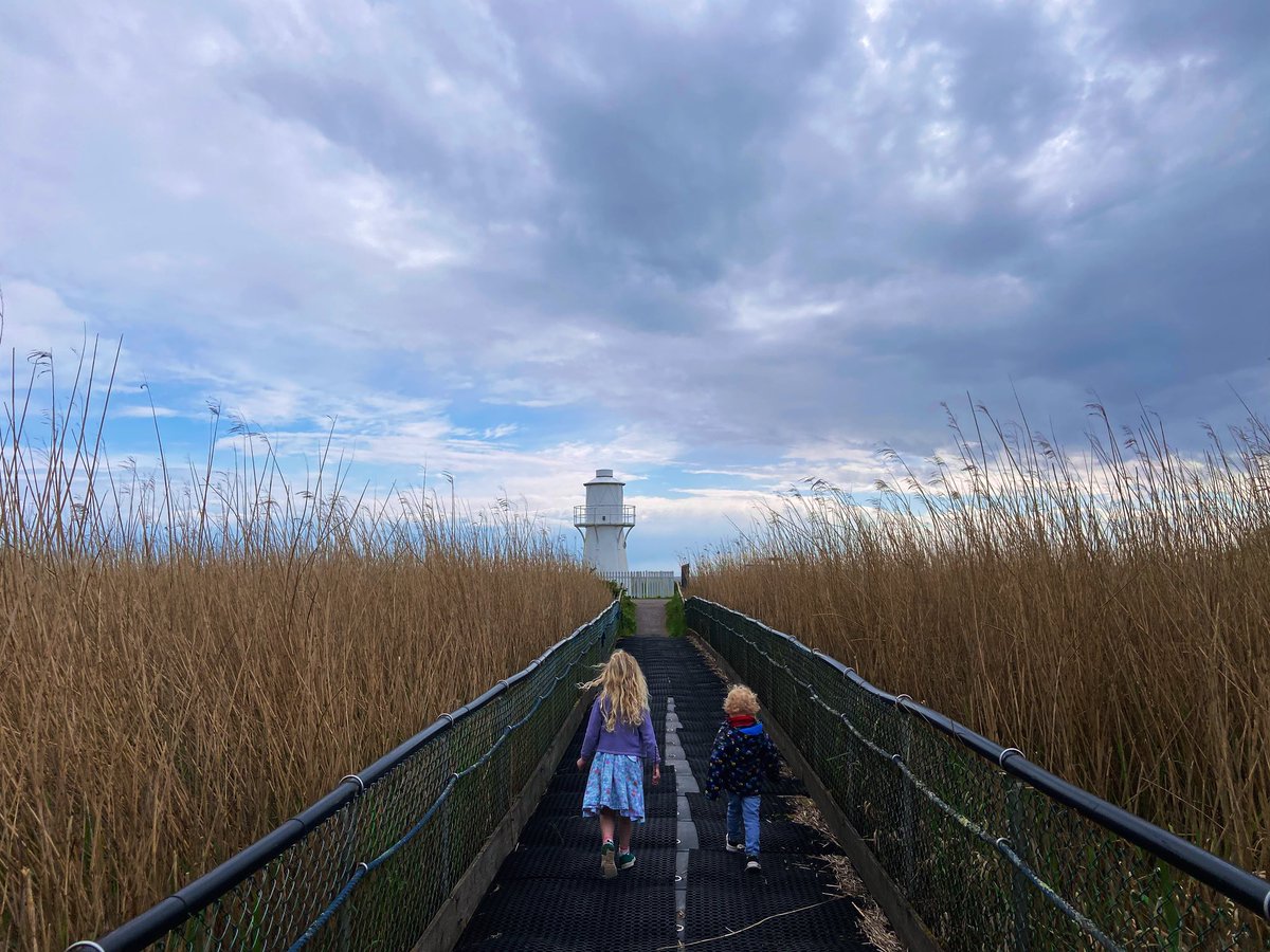 Newport Wetlands. Epic skies and reed beds 🛌 The beautiful lighthouse peeping out ahead was apparently originally built on legs, but they were covered under fly ash from the Uskmouth Power Station! #lighthouse #lighthouses #newport @RSPBNewport