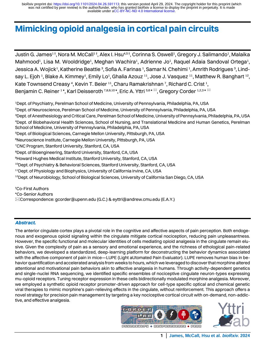 🧠⚡️Ecstatic to share our preprint – 

Mimicking opioid analgesia in cortical pain circuits

biorxiv.org/cgi/content/sh…

Covering cingulate cell-types for pain + morphine pain-relief, a non-addictive gene therapy for chronic pain & our deep-learning pain behavior platform: LUPE

🧵