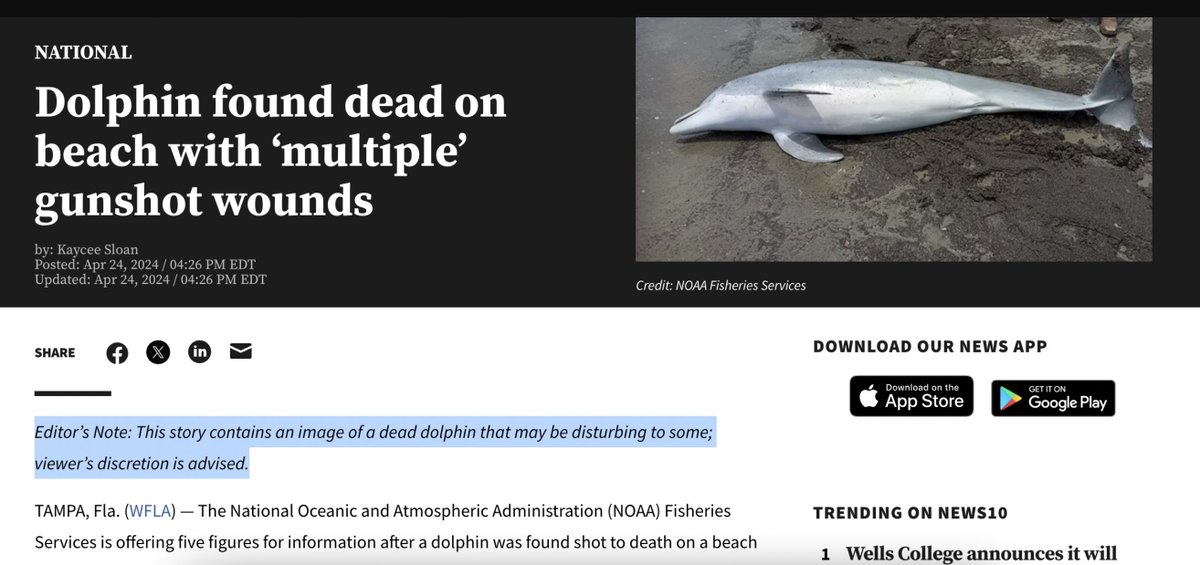 Editors note doesn't quite get there in time. Oh, also , I should warn people reading this tweet. There might be a dead dolphin involved.