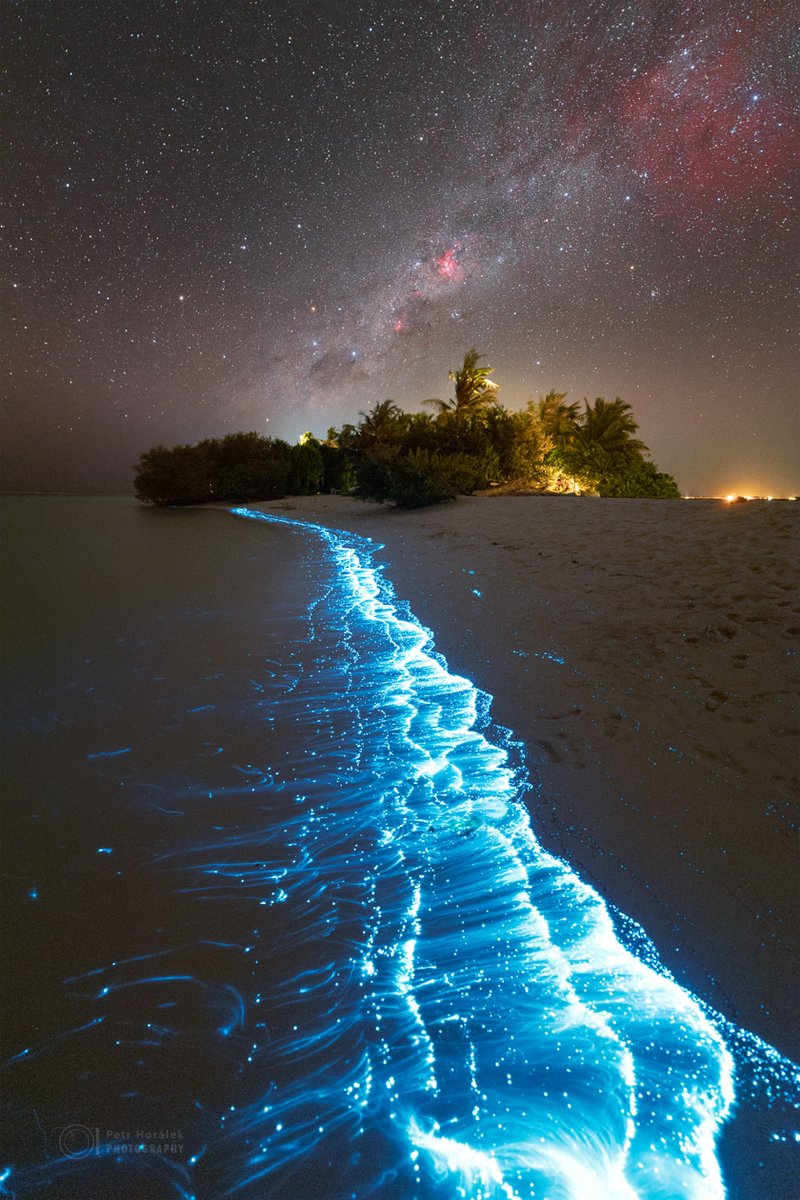 Bioluminescence and Milky Way 🌌