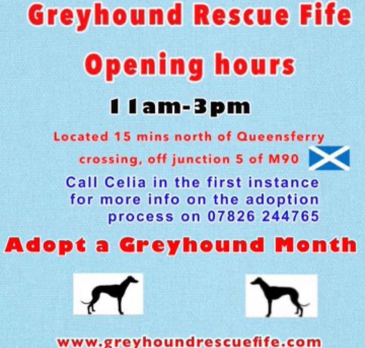 GreyhoundRFife tweet picture