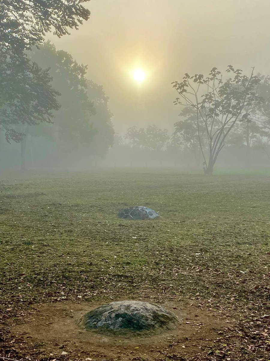 LandiaRegen's tweet image. From the 3rd - 6th of May we will be on the land to support with all our hearts and hands united. If you are feeling a calling or would like to contribute, share the information/ donate trees/ material or financial aid   eventbrite.de/e/voluntariado…