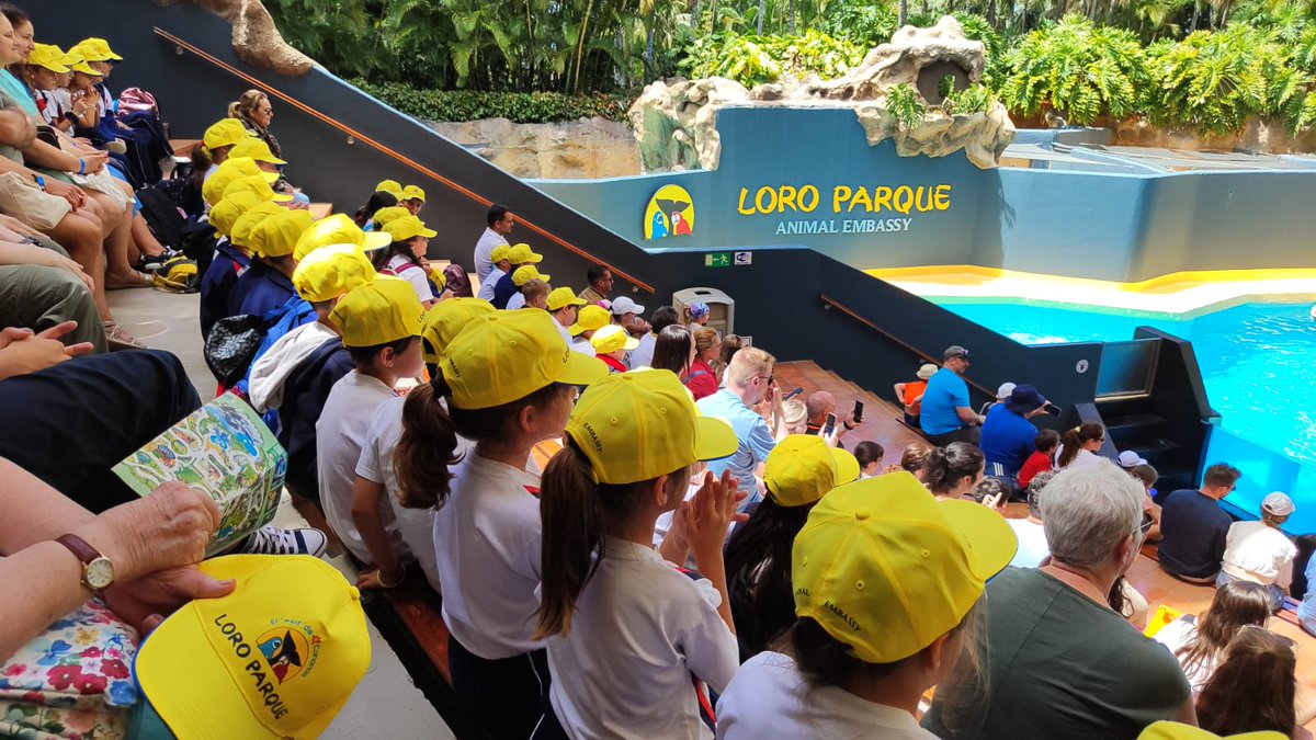 Los alumnos de 3° de Primaria, dentro del proyecto 'Madagascar' hemos hecho una visita guiada en El Loro Parque. Hemos descubierto un gran número de animales y sus diferentes hábitats, seguimos aprendiendo. 
.
.
#OptimismoUrgente @coleinnovadores