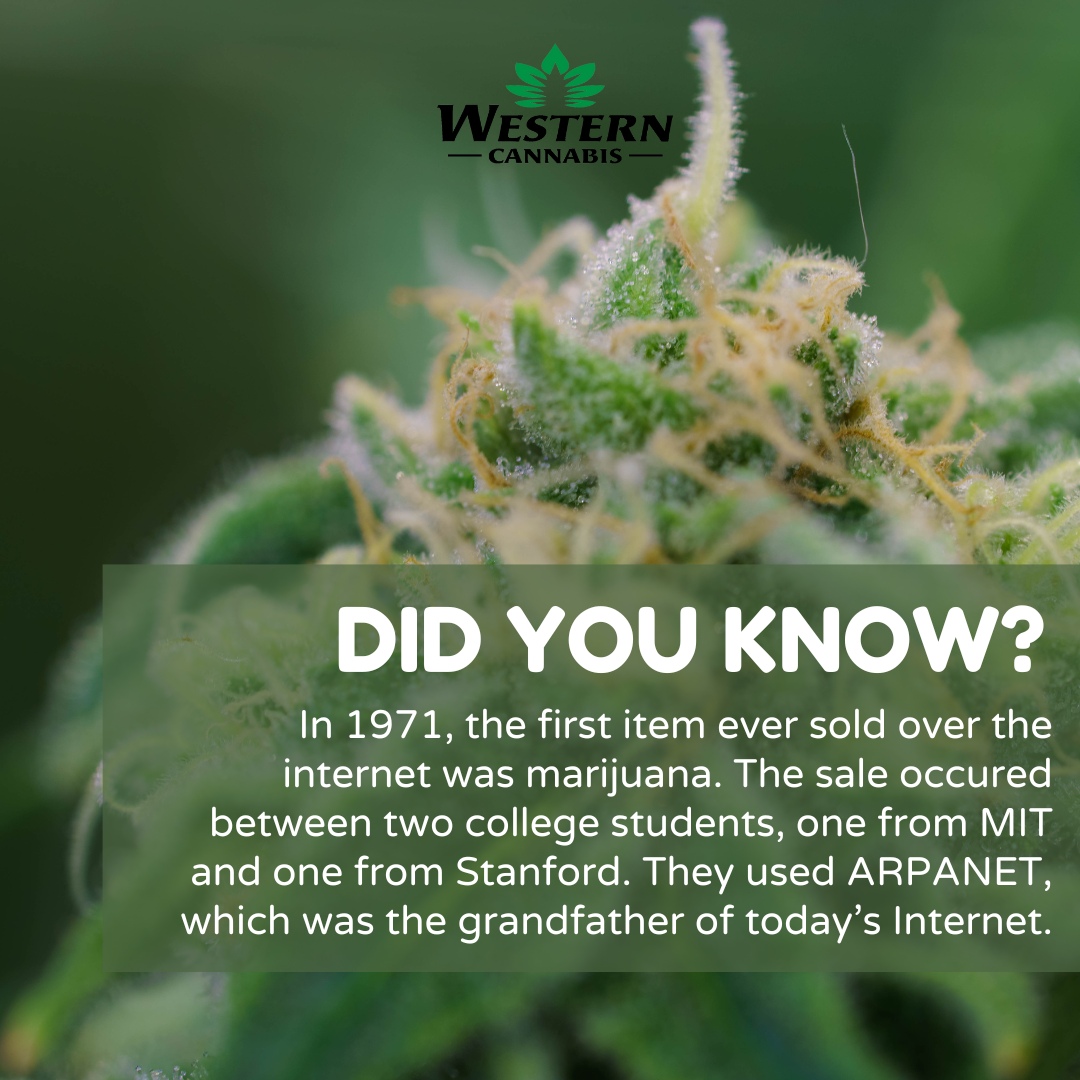 From ancient herb to modern marvel: cannabis blazed the trail as the pioneer of online commerce. 🌿💨💻

#WestCann #CannabisCommunity #DigitalCannabis #InternetHistory #CannabisEducation #SupportLocal #FamilyOwned