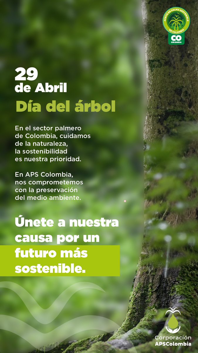 APSColombiaCorp's tweet photo. #diadelarbol #APSColombia #palmasostenible https://t.co/lV3id9lCZT
