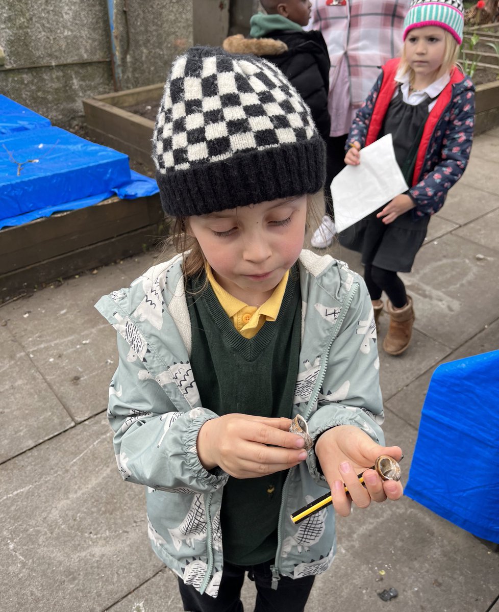 Today, p2a went on a mini beast hunt in our school garden. 🐛🔍 It's amazing how many of the mini beasts we are learning about, live just outside 🐜🐞#outdoorlearning