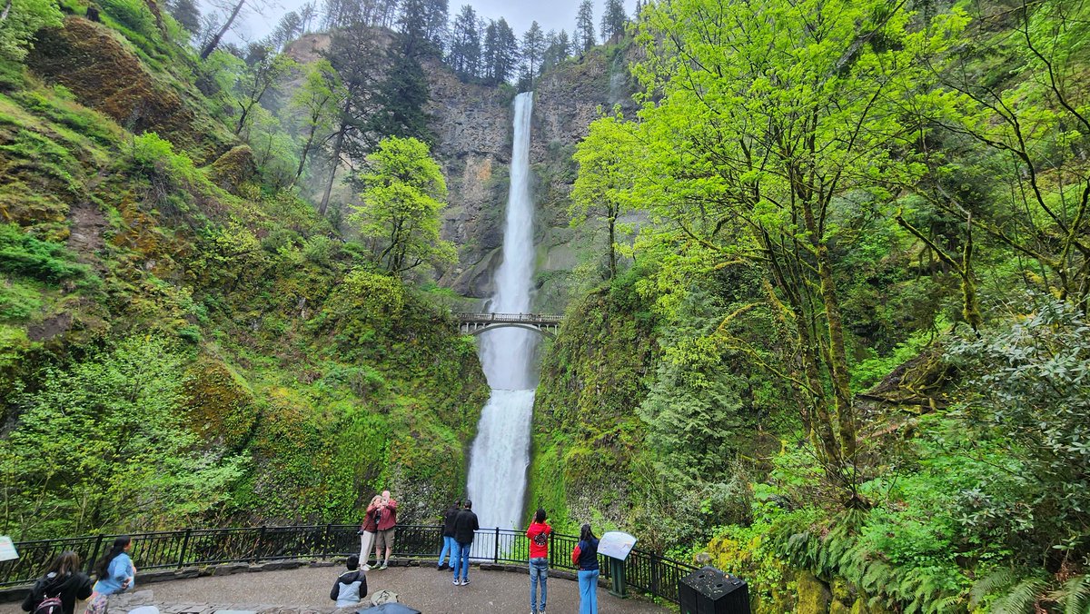 Hiking a 12 mile loop from #MultnomahFalls to #OneontaFalls, up into the mountains then back around to Multnomah Falls on a beautiful rainy day on Oregon just east of #Portland. #PNW #PacificNorthWest #Oregon 

#Keeponmoving #onefootinfrontoftheother #findyourhappyplace #geocache