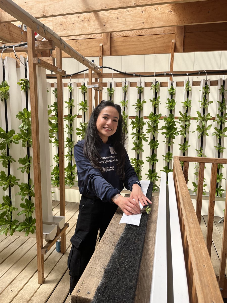 NY Power Authority tweet media