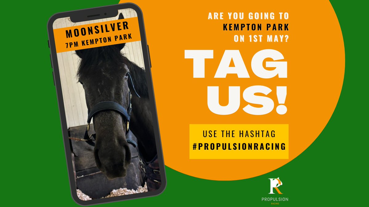 ProRacingUK's tweet photo. Moonsilver goes to Kempton on Wednesday for her 2nd day at school. Canโt wait to see her back on the track ๐งก๐ @GayKelleway @RacingTV @kemptonparkrace #Propulsionracing #moonsilver #RaceDay #racinguk #KemptonPark #Racingsyndicate https://t.co/XlUUEFx4Kj
