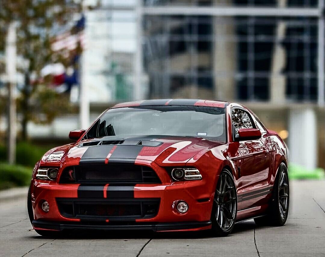 Shelby 🏁GT500🏁 gt36.blogspot.com/2010/03/ford-s… 🐍