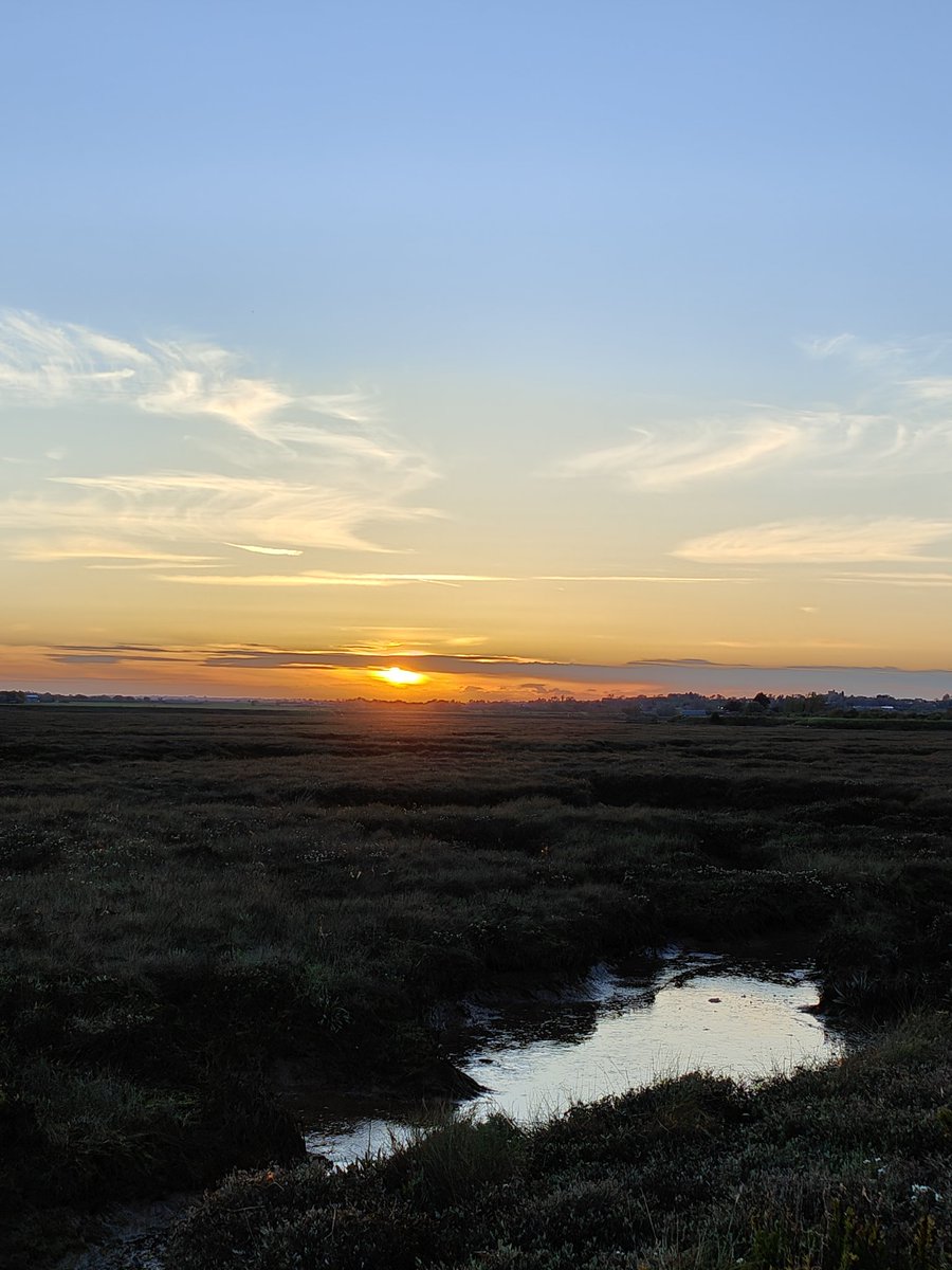 Sunset on the marshes #MerseaIsland #Essex