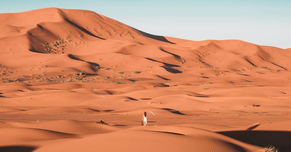 Did you know about the 'Green Sahara'?

Around 7,000 years ago, the Sahara Desert was lush and green, with lakes and rivers that supported a diverse range of life, including humans, due to Earth's axial tilt.

#EnvironmentalScience #GreenSahara #ClimateHistory