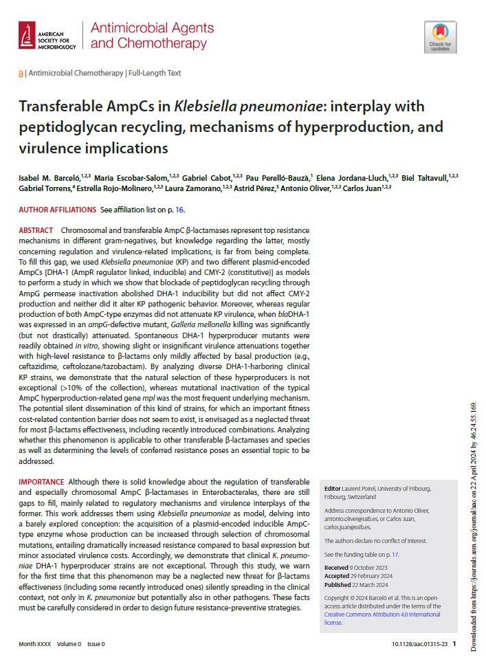 Nou article a #Docusalut: Transferable AmpCs in Klebsiella pneumoniae: interplay with peptidoglycan recycling, mechanisms of hyperproduction, and virulence implications i.mtr.cool/xnsliiqjwv @microHUSE @aoliverp73 @carlosjuannico1 @EscobarSalom @idisbaib #PublicaSalutIB