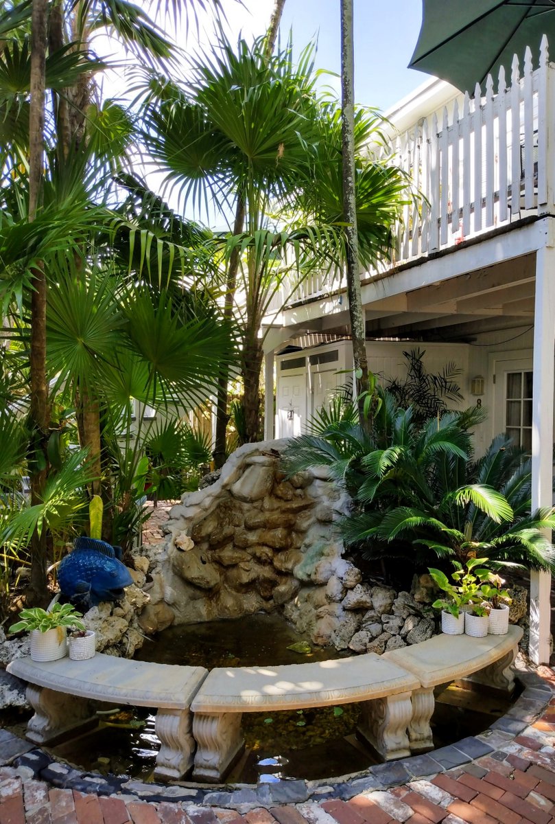 Peace and calm 🌺🙌
.
.
.
#oldtownmanor #oldtownmanorweddings #keywest #flkeys #lovefl #petfriendly #bedandbreakfast #duvalstreet #oldtownkeywest #florida #greenhotel #boutiquehotel #hotel #historicinn #keywestvacation #keywesttravel #keywesthotel